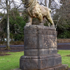 Lion – Birkmyre park – Kilmacolm